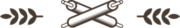 Image module